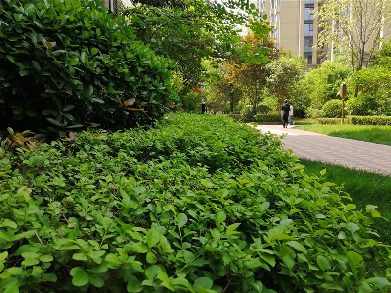 噪音扰民、高空抛物、宠物伤人，这些邻里纠纷，如何追责?